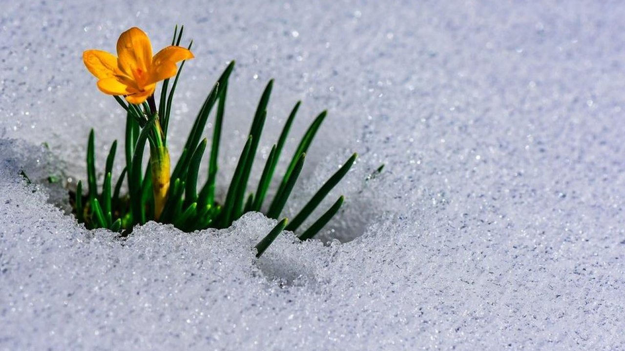 Cemre ne zaman düşecek 2024? Cemre düşmesi ne demek?