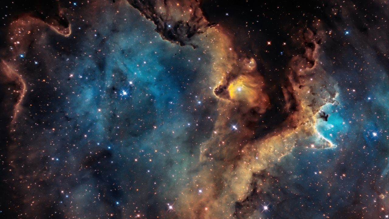 Onlara 'İntikam Meleği' demek az kalır! İşte intikam almadan yaşayamayan 3 burç