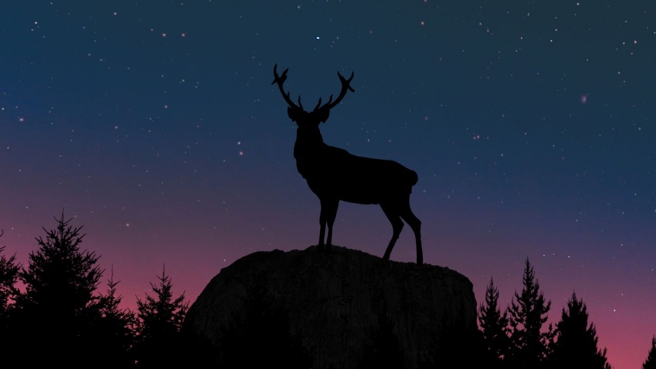 Falda geyik görmek ne anlama gelir? Falda geyik görmek neye işaret eder?