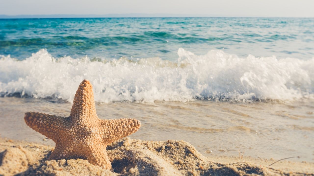 Avrupa’nın en iyi plajları belli oldu! Türkiye’den 2 plaj var