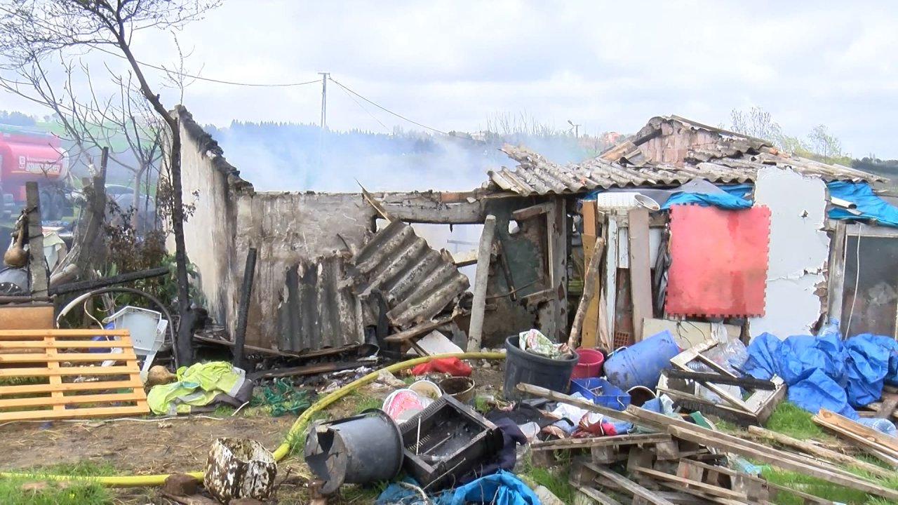 Arnavutköy'de Gecekondu Yangını Ahırada Sıçradı: 20 Hayvan Kurtarıldı